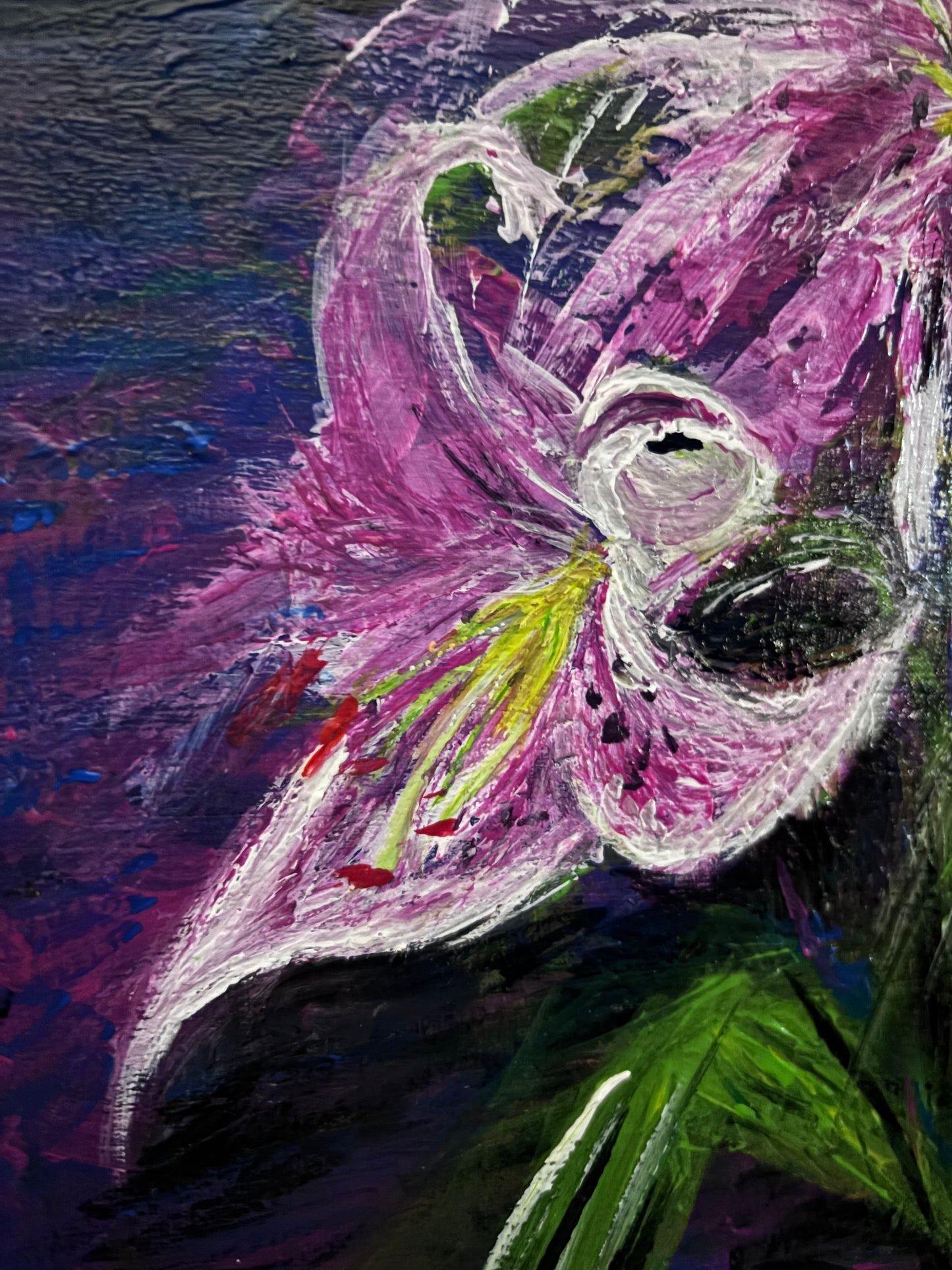 Stargazer Lilies